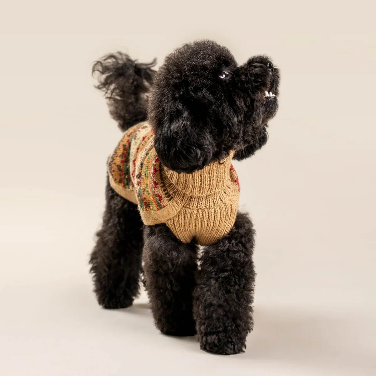 Alqo Wasi - Fair Isle Finn Alpaca Dog Sweater