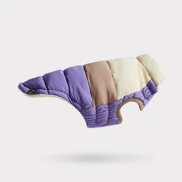 GF Pet Color Block Puffer - Purple for Dogs