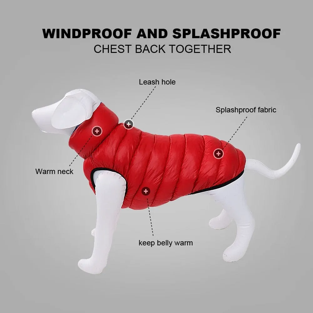 Reversible Dachshund Jacket